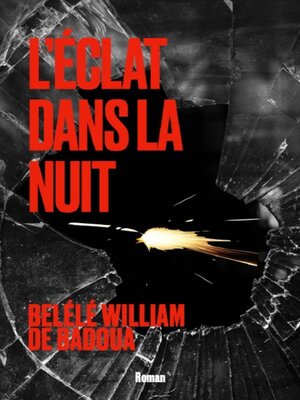 cover image of L'éclat dans la nuit